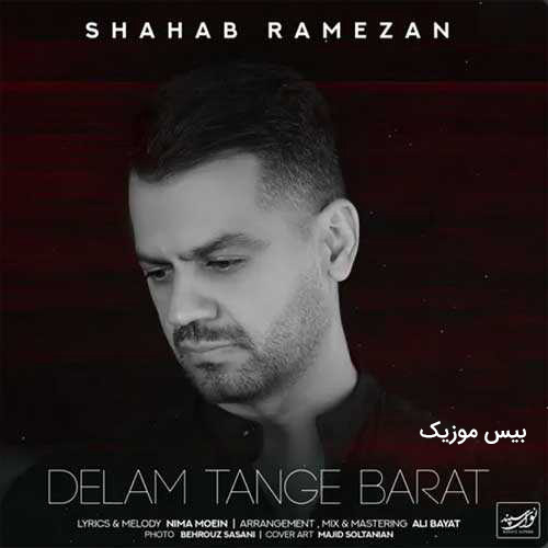 دانلود آهنگ دلم تنگه برات از شهاب رمضان